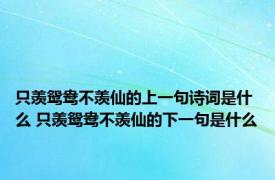 只羡鸳鸯不羡仙的上一句诗词是什么 只羡鸳鸯不羡仙的下一句是什么