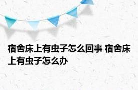 宿舍床上有虫子怎么回事 宿舍床上有虫子怎么办