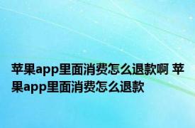 苹果app里面消费怎么退款啊 苹果app里面消费怎么退款