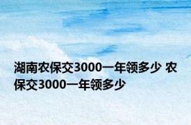 湖南农保交3000一年领多少 农保交3000一年领多少