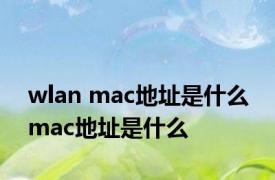 wlan mac地址是什么 mac地址是什么