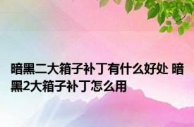 暗黑二大箱子补丁有什么好处 暗黑2大箱子补丁怎么用