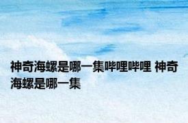 神奇海螺是哪一集哔哩哔哩 神奇海螺是哪一集