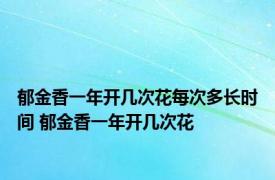 郁金香一年开几次花每次多长时间 郁金香一年开几次花