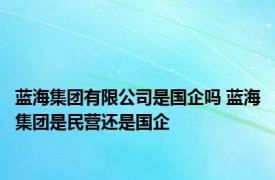 蓝海集团有限公司是国企吗 蓝海集团是民营还是国企