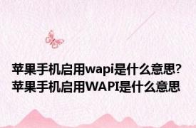 苹果手机启用wapi是什么意思? 苹果手机启用WAPI是什么意思