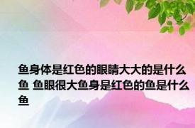 鱼身体是红色的眼睛大大的是什么鱼 鱼眼很大鱼身是红色的鱼是什么鱼