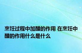 烹饪过程中加醋的作用 在烹饪中醋的作用什么是什么