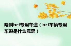 啥叫brt专用车道（brt车辆专用车道是什么意思）