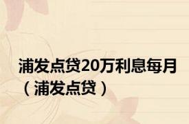 浦发点贷20万利息每月（浦发点贷）