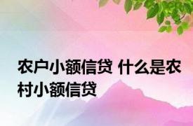 农户小额信贷 什么是农村小额信贷