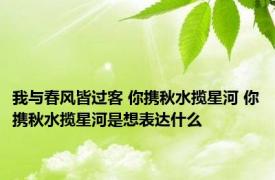 我与春风皆过客 你携秋水揽星河 你携秋水揽星河是想表达什么