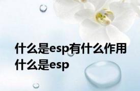 什么是esp有什么作用 什么是esp