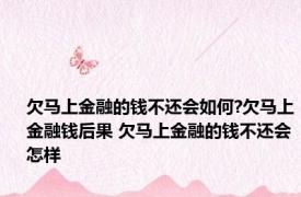 欠马上金融的钱不还会如何?欠马上金融钱后果 欠马上金融的钱不还会怎样