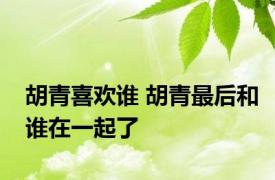 胡青喜欢谁 胡青最后和谁在一起了