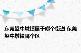 东莞望牛墩镇属于哪个街道 东莞望牛墩镇哪个区