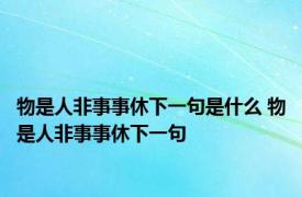 物是人非事事休下一句是什么 物是人非事事休下一句