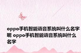 oppo手机智能语音系统叫什么名字呢 oppo手机智能语音系统叫什么名字