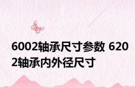 6002轴承尺寸参数 6202轴承内外径尺寸