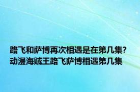 路飞和萨博再次相遇是在第几集? 动漫海贼王路飞萨博相遇第几集