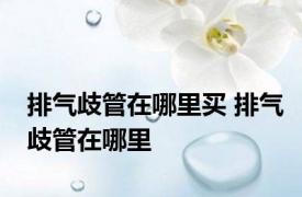 排气歧管在哪里买 排气歧管在哪里