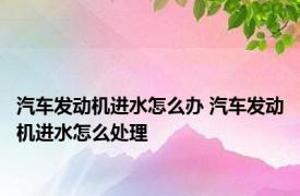 汽车发动机进水怎么办 汽车发动机进水怎么处理