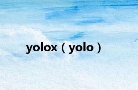 yolox（yolo）