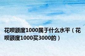 花呗额度1000属于什么水平（花呗额度1000买3000的）