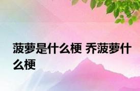 菠萝是什么梗 乔菠萝什么梗