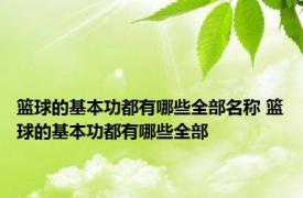 篮球的基本功都有哪些全部名称 篮球的基本功都有哪些全部