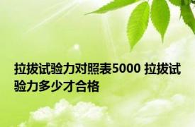 拉拔试验力对照表5000 拉拔试验力多少才合格