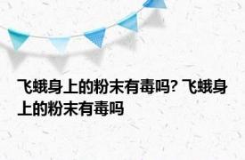 飞蛾身上的粉末有毒吗? 飞蛾身上的粉末有毒吗