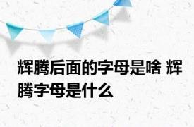 辉腾后面的字母是啥 辉腾字母是什么