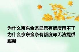 为什么京东金条显示有额度用不了 为什么京东金条有额度却无法提供服务