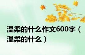 温柔的什么作文600字（温柔的什么）