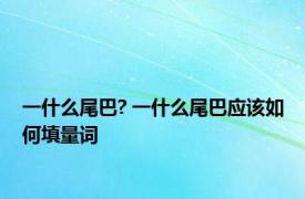 一什么尾巴? 一什么尾巴应该如何填量词