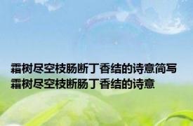 霜树尽空枝肠断丁香结的诗意简写 霜树尽空枝断肠丁香结的诗意