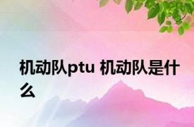 机动队ptu 机动队是什么