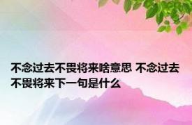 不念过去不畏将来啥意思 不念过去不畏将来下一句是什么