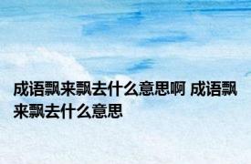 成语飘来飘去什么意思啊 成语飘来飘去什么意思