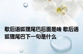 歇后语狐狸尾巴后面是啥 歇后语狐狸尾巴下一句是什么