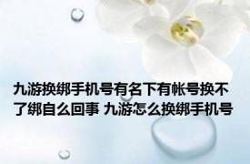 九游换绑手机号有名下有帐号换不了绑自么回事 九游怎么换绑手机号