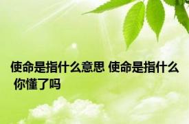 使命是指什么意思 使命是指什么 你懂了吗