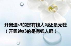 开奥迪s3的是有钱人吗还是无钱（开奥迪s3的是有钱人吗）