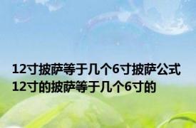 12寸披萨等于几个6寸披萨公式 12寸的披萨等于几个6寸的