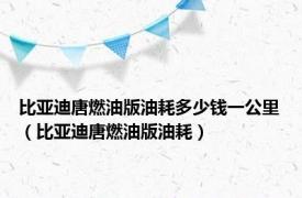 比亚迪唐燃油版油耗多少钱一公里（比亚迪唐燃油版油耗）