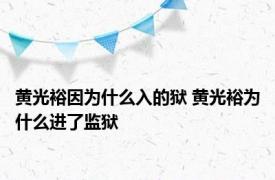 黄光裕因为什么入的狱 黄光裕为什么进了监狱