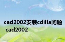 cad2002安装cdilla问题 cad2002 