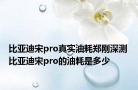 比亚迪宋pro真实油耗郑刚深测 比亚迪宋pro的油耗是多少