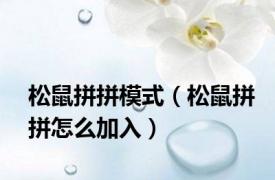 松鼠拼拼模式（松鼠拼拼怎么加入）